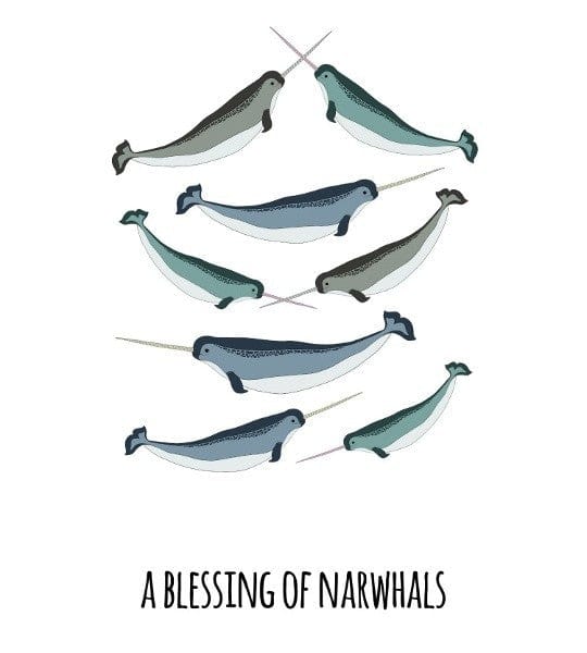 101 Collective Nouns - Hard Cover - Image 2