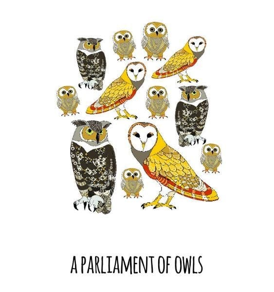 101 Collective Nouns - Hard Cover - Image 3