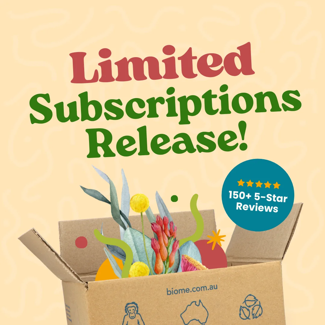 4 x Biome Box Subscription - Starts AUTUMN 26: palm oil free lifestyle box