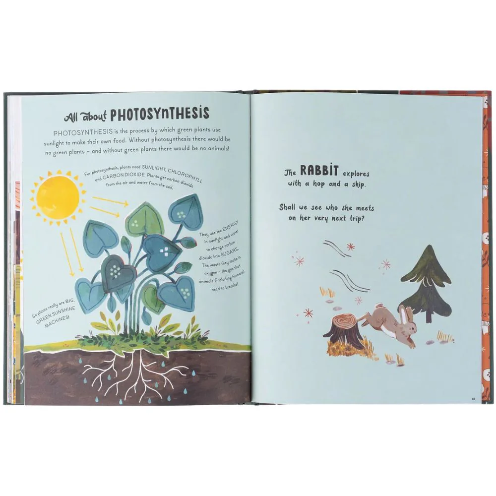 5 Minute Nature Stories - Image 3