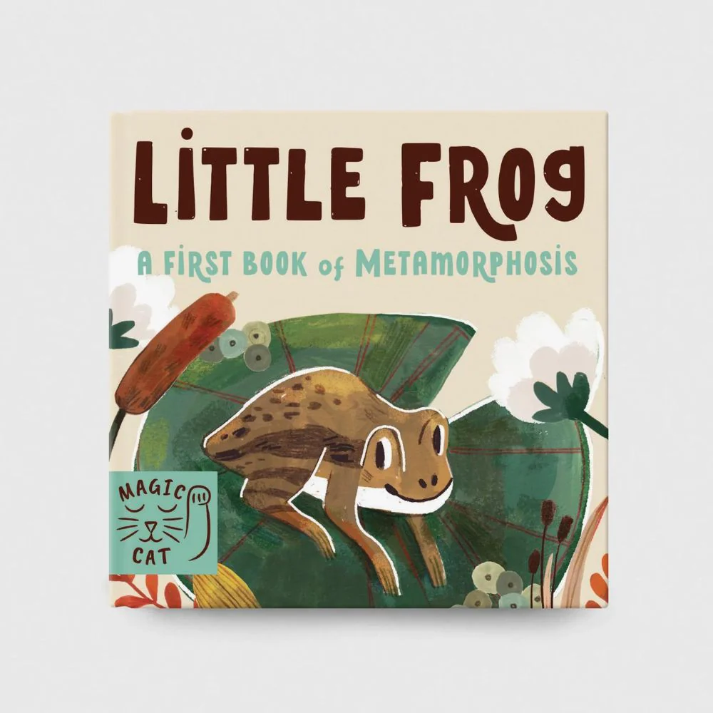 5 Minute Nature Story Box - Image 2