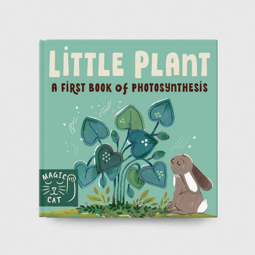 5 Minute Nature Story Box - Image 3