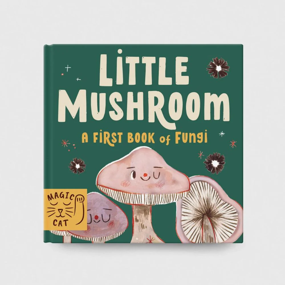 5 Minute Nature Story Box - Image 5