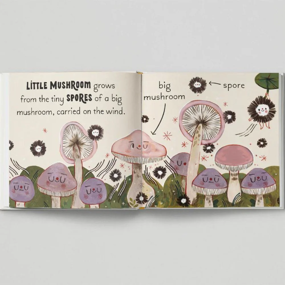 5 Minute Nature Story Box - Image 6