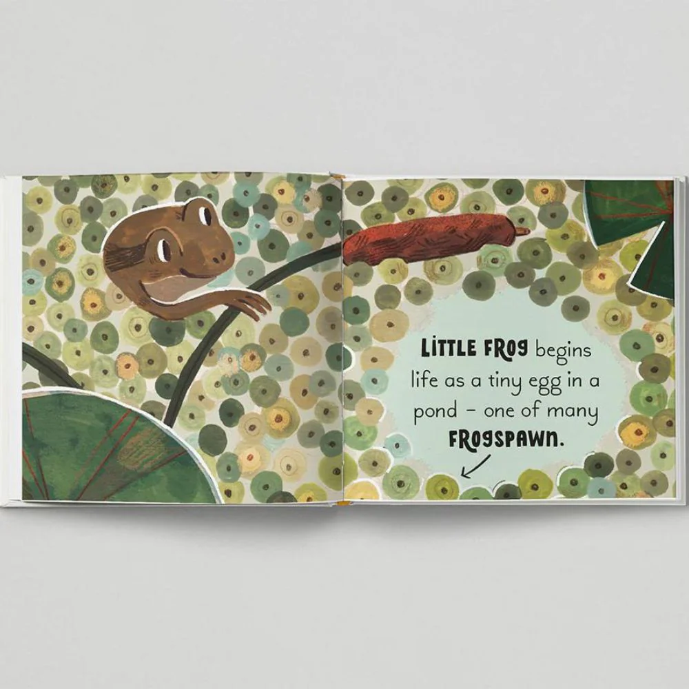 5 Minute Nature Story Box - Image 7