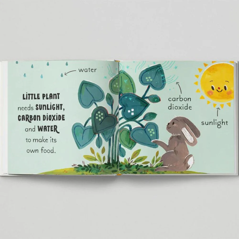 5 Minute Nature Story Box - Image 9