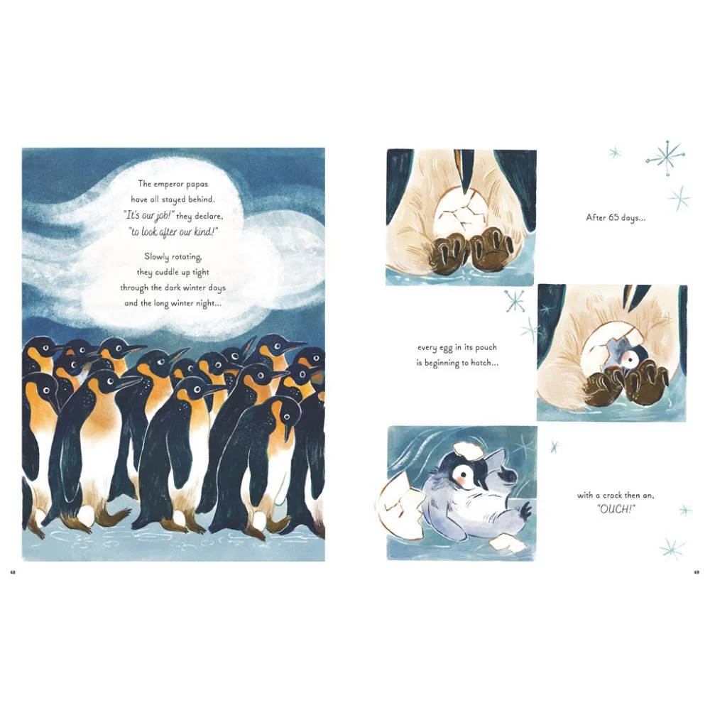 5 Minute Ocean Stories - Image 3