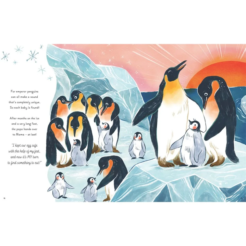 5 Minute Ocean Stories - Image 4