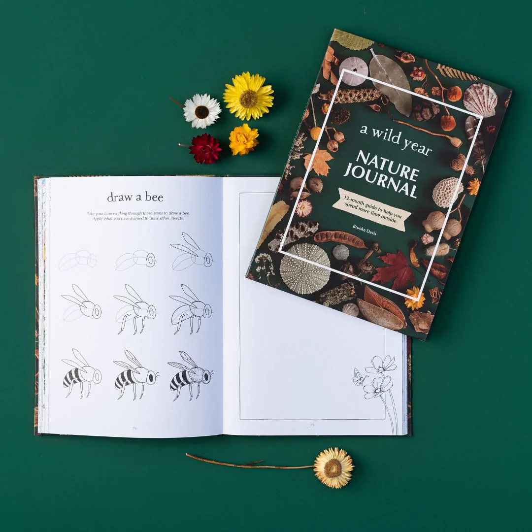 A Wild Year - Nature Journal - Image 5