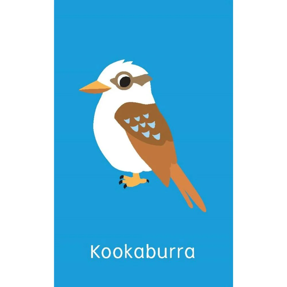 Australian Animals Snap Cards - Image 3