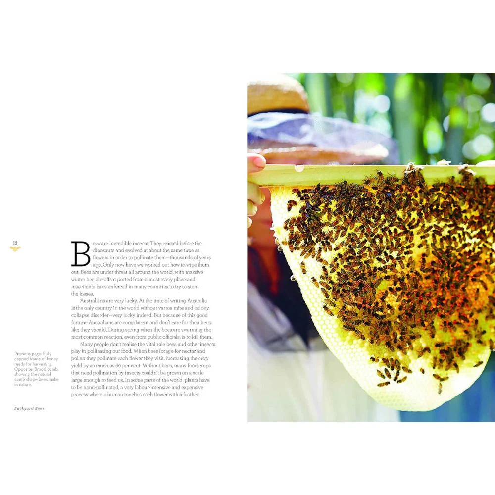 Backyard Bees: Fully Revised and Updated - Image 3
