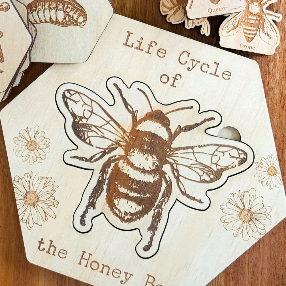 Bandicute Wooden Bee Life Cycle Puzzle - Image 2