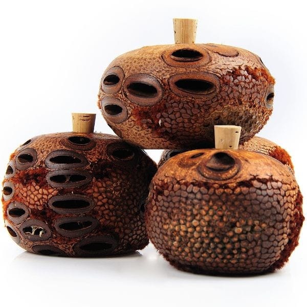 Banksia Aroma Pod Essential Oil Diffuser - Image 3