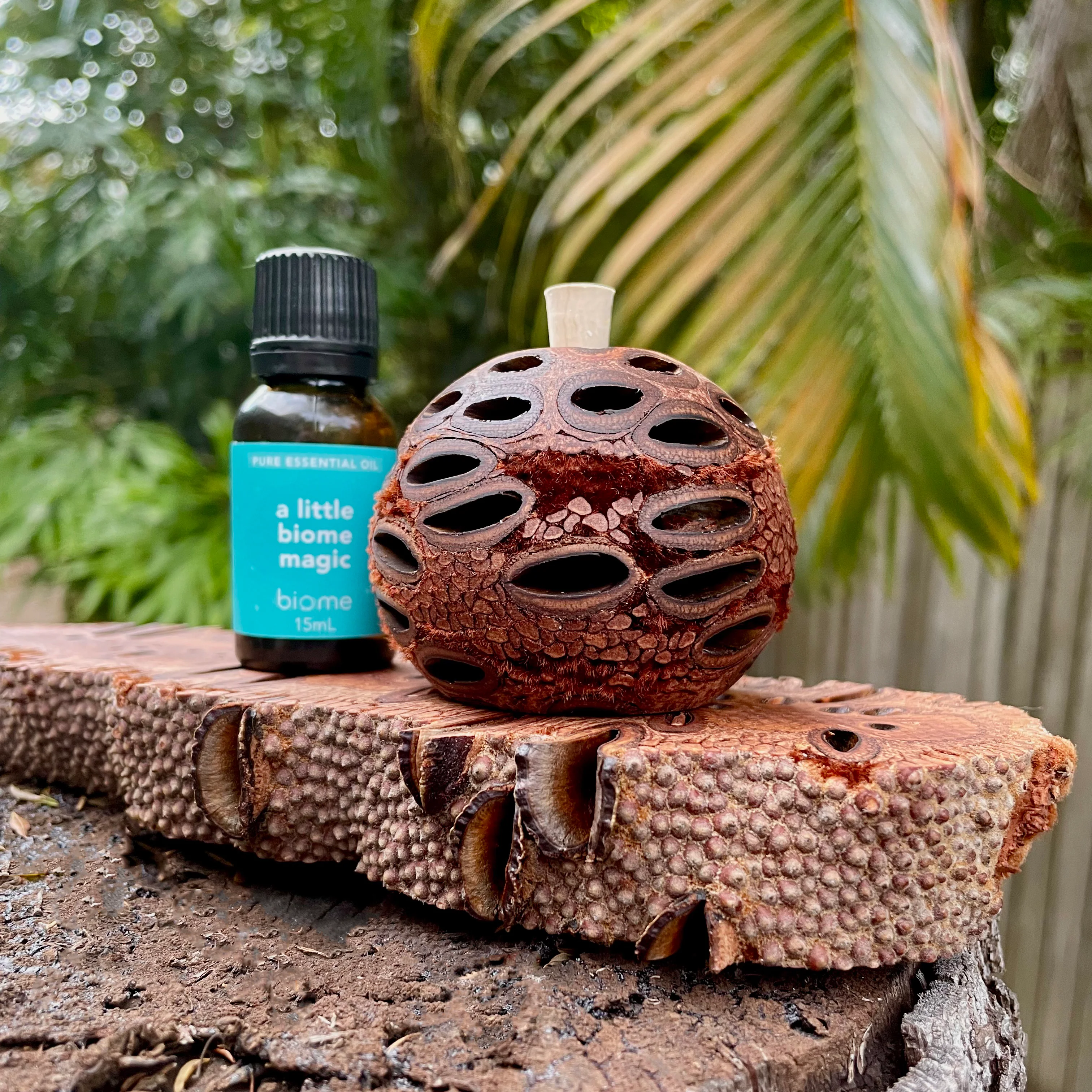 Banksia Aroma Pod & Essential Oil STAND - Image 3