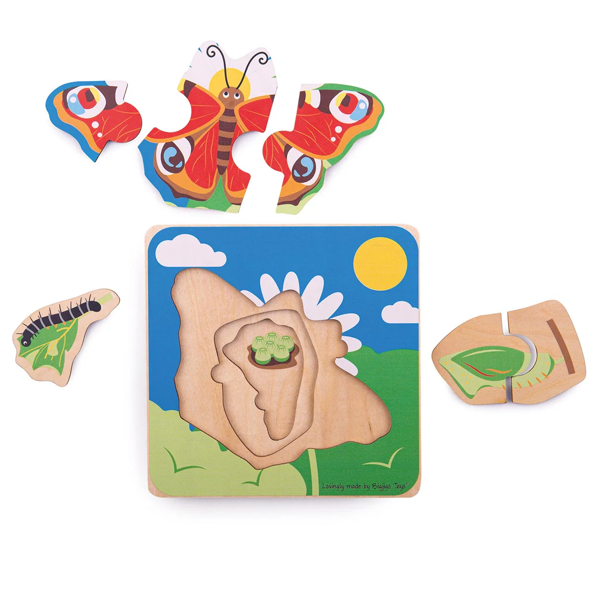 Bigjigs Toys Lifecycle Puzzle Butterfly - Image 2