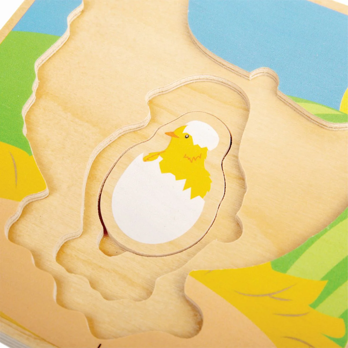 Bigjigs Toys Lifecycle Puzzle Chicken - Image 4