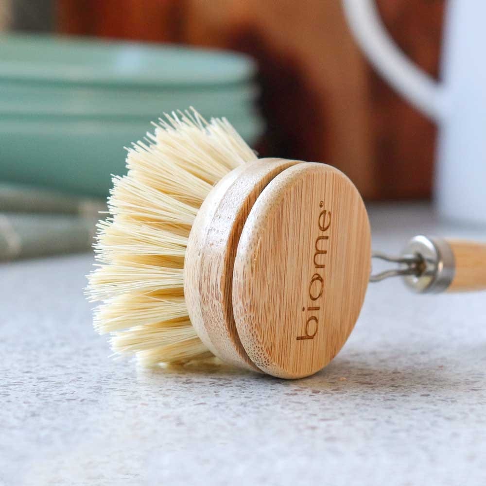 Biome Bamboo Dish Brush (long-handle)