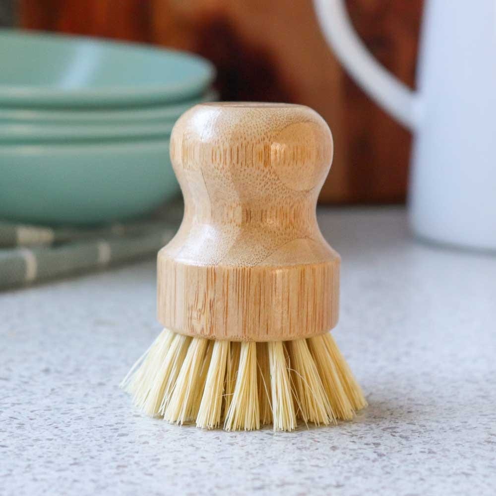 Biome Dish Brush (hand-held)