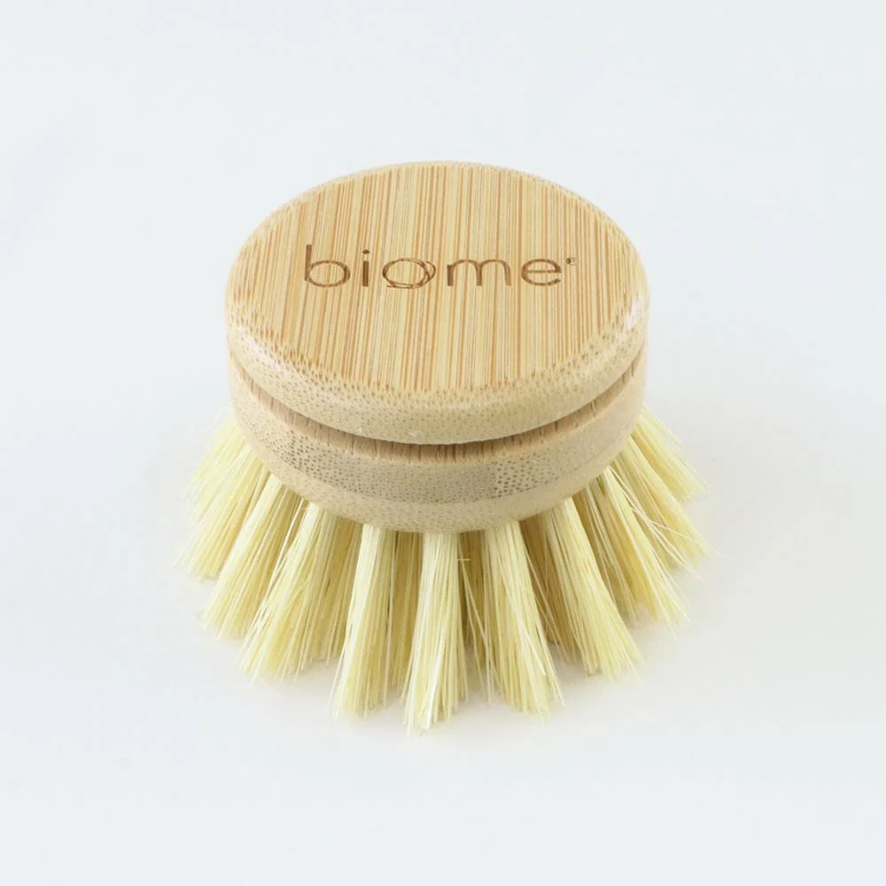 Biome Dish Brush Replacement Head