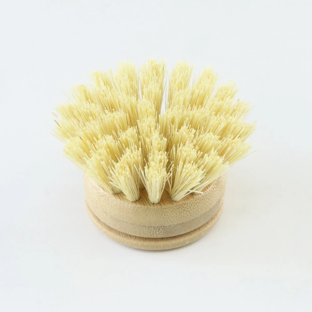 Biome Dish Brush Replacement Head - Image 2