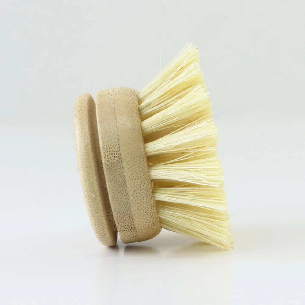 Biome Dish Brush Replacement Head - Image 3