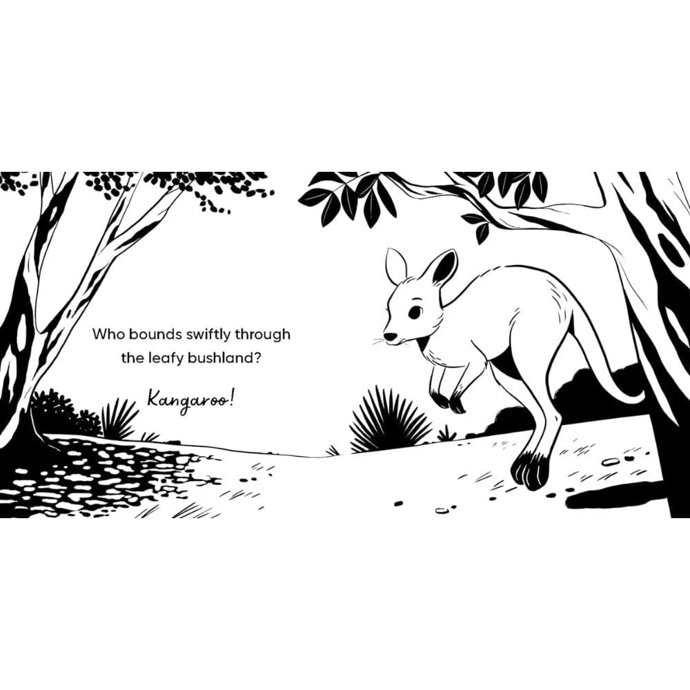 Bouncing Aussie Animals - Image 3