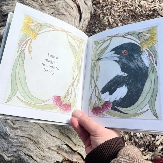 Bridget Farmer Book - I am a Magpie, I am a Currawong - Image 3