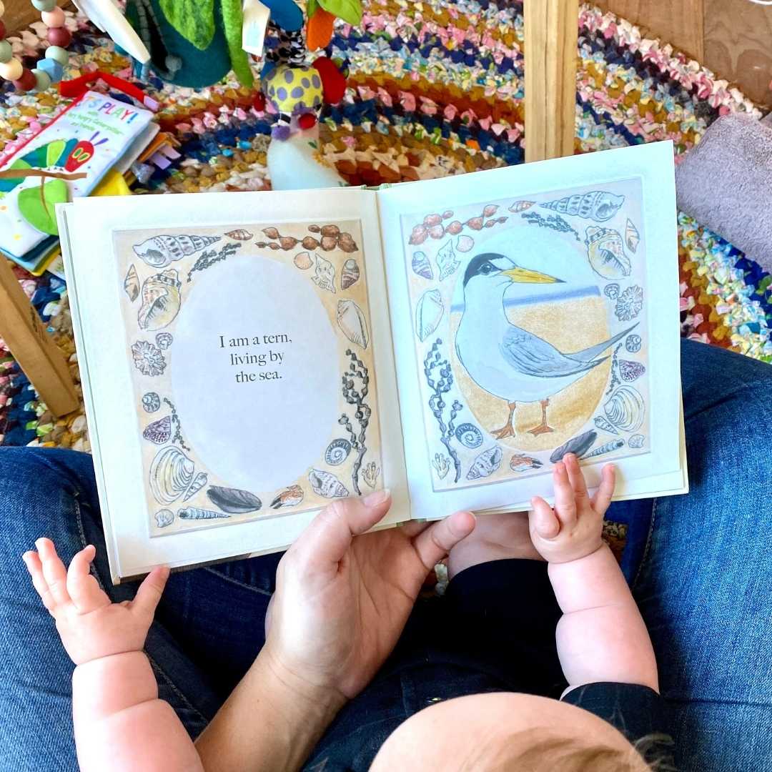 Bridget Farmer Book - I am a Magpie, I am a Currawong - Image 4