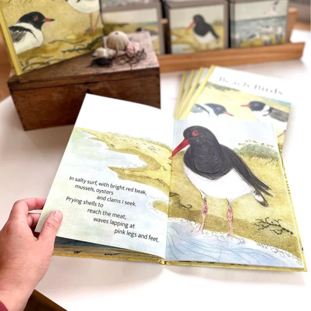 Bridget Farmer Lift-the-Flap Book - The Beach Birds - Image 2