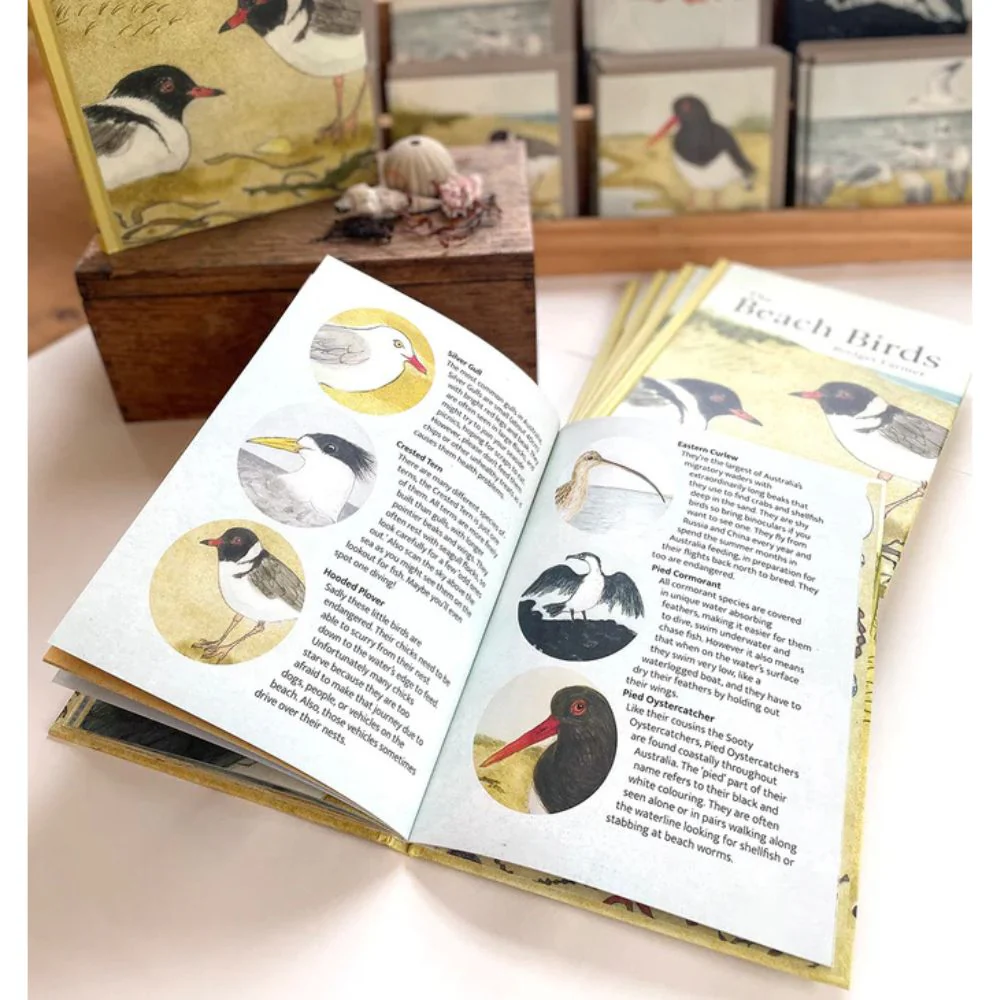 Bridget Farmer Lift-the-Flap Book - The Beach Birds - Image 3