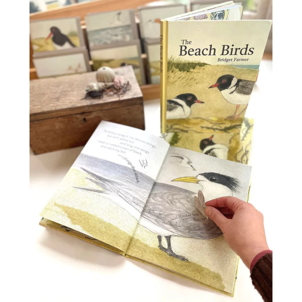 Bridget Farmer Lift-the-Flap Book - The Beach Birds - Image 4