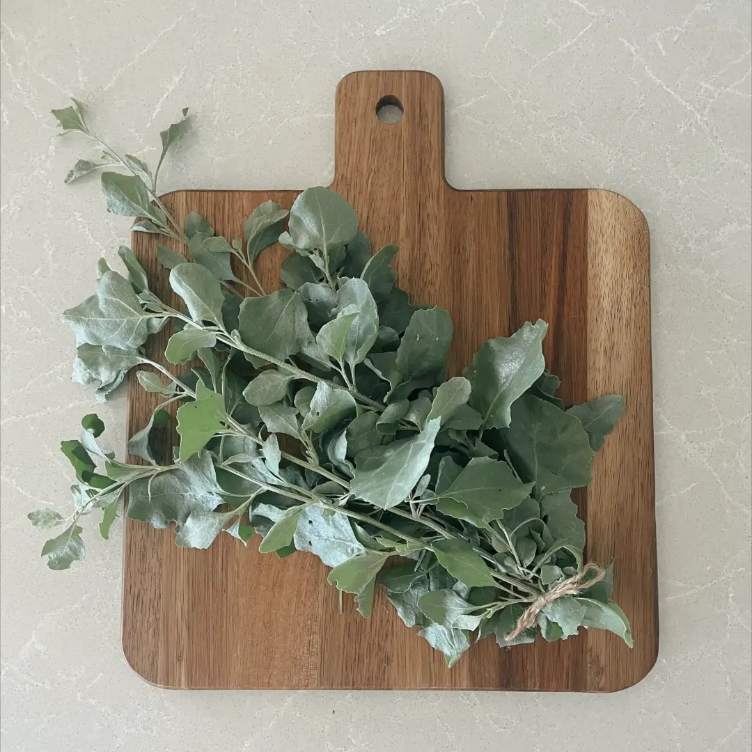 Creative Native Saltbush Flakes - Image 2