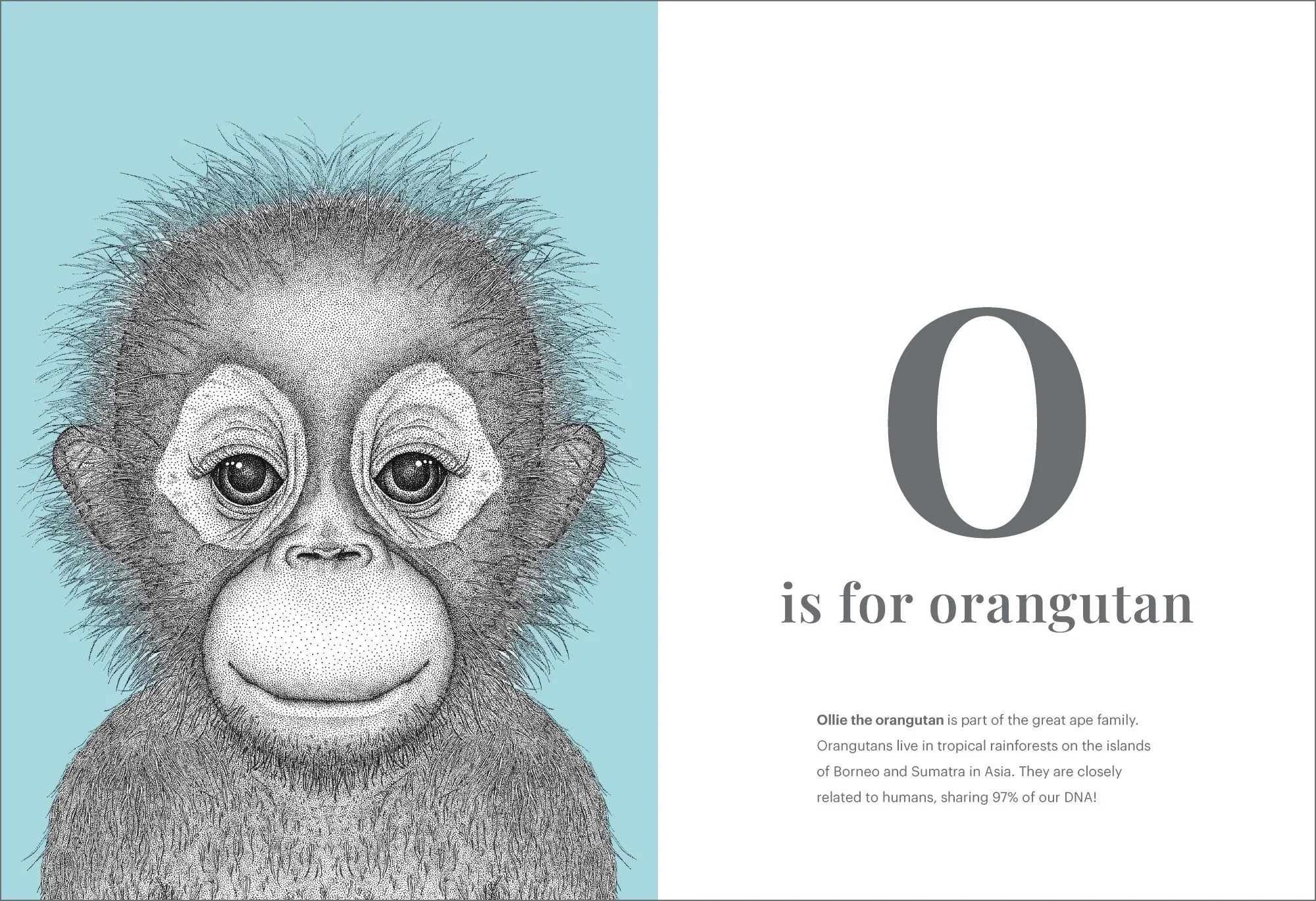 Dots by Donna - The Animal Alphabet - Image 2