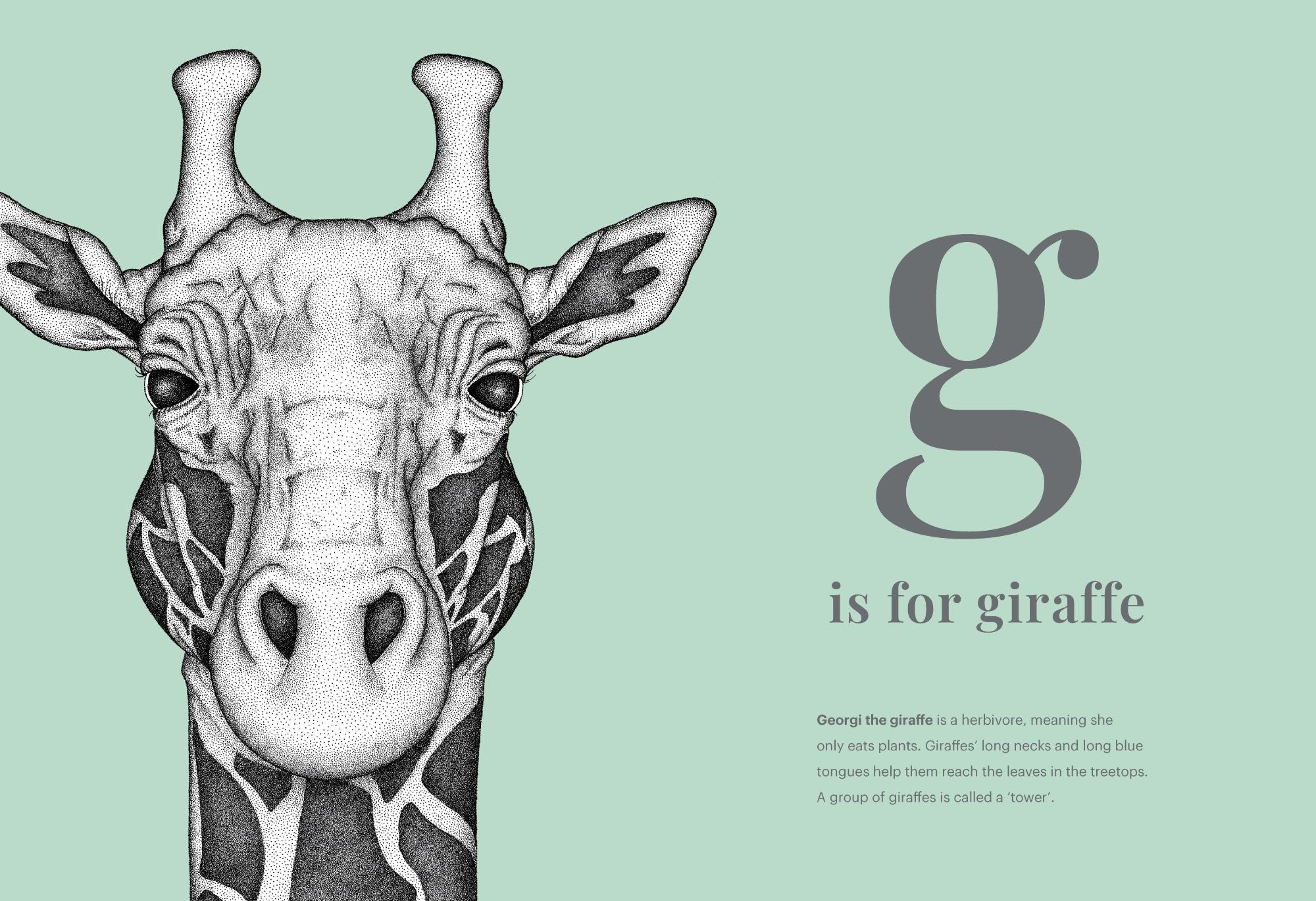 Dots by Donna - The Animal Alphabet - Image 4