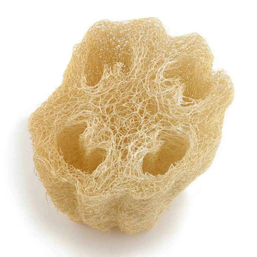 Ecomax Cleopatra Loofah Pad - Large - Image 2