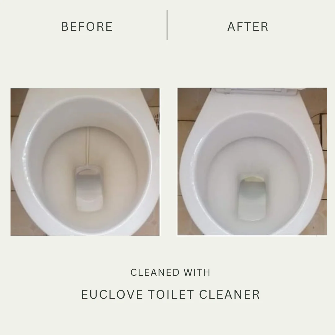 Euclove Non-Toxic Toilet Cleaner 500ml (SPRAY) - Image 4