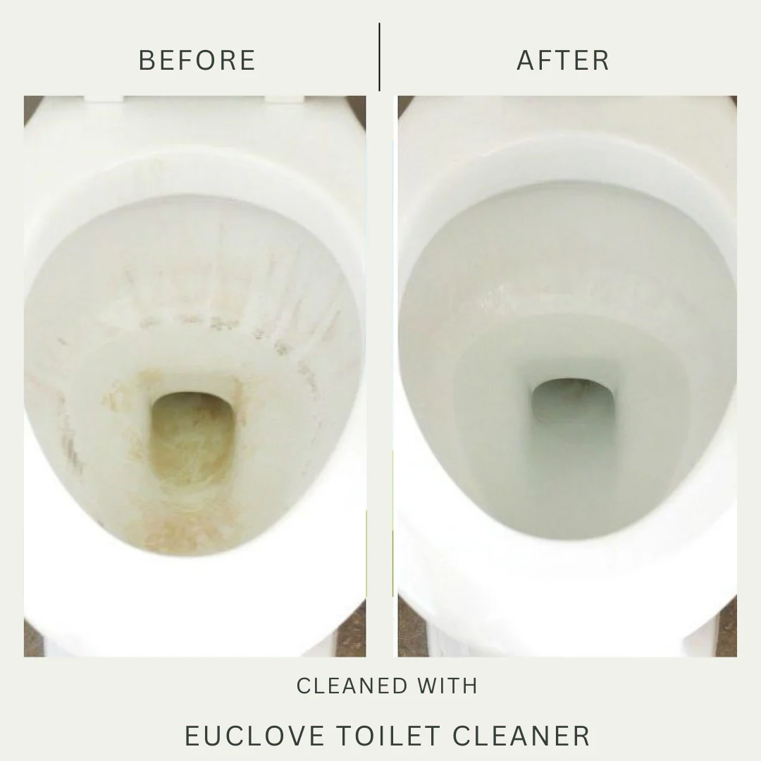 Euclove Non-Toxic Toilet Cleaner 500ml (SPRAY) - Image 5
