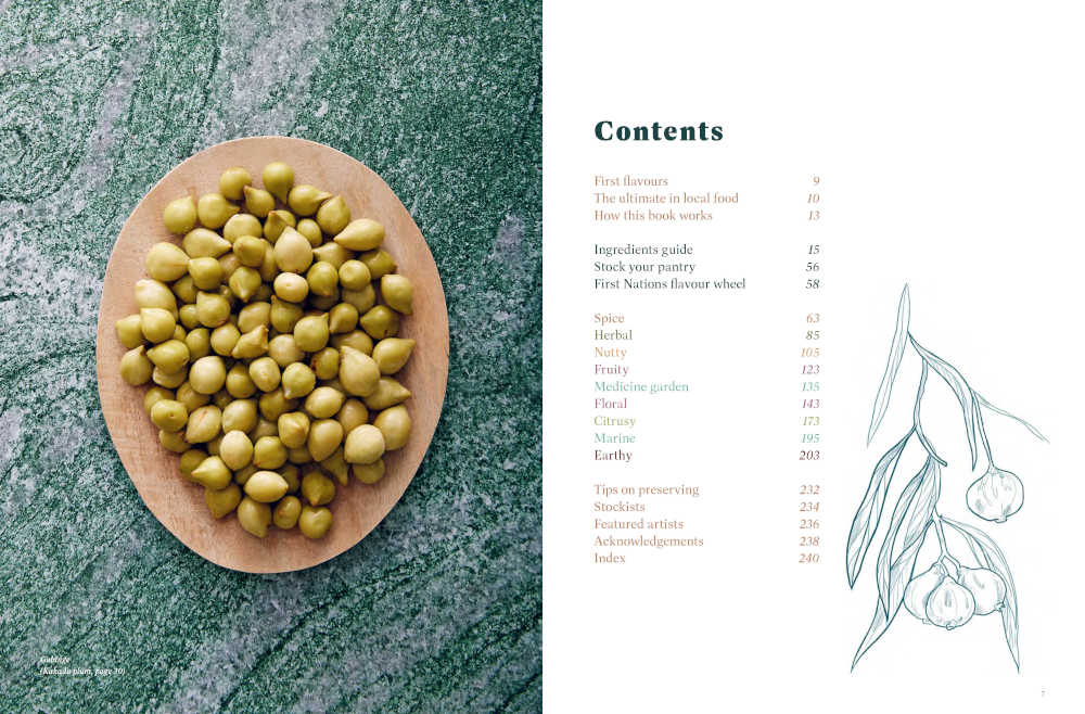 First Nations Food Companion - Image 2