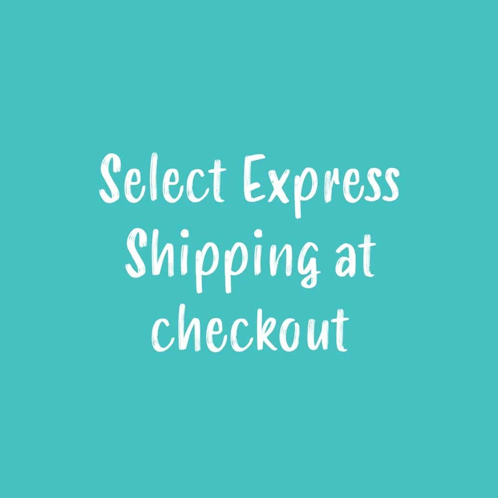 Ice Pack & Liner for Chocolate Shipping - Image 2