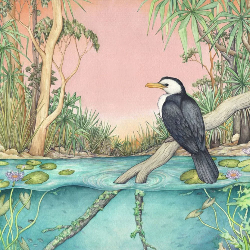 Ingrid Bartkowiak Art Card - Little Pied Cormorant/Bitter Springs - Image 2