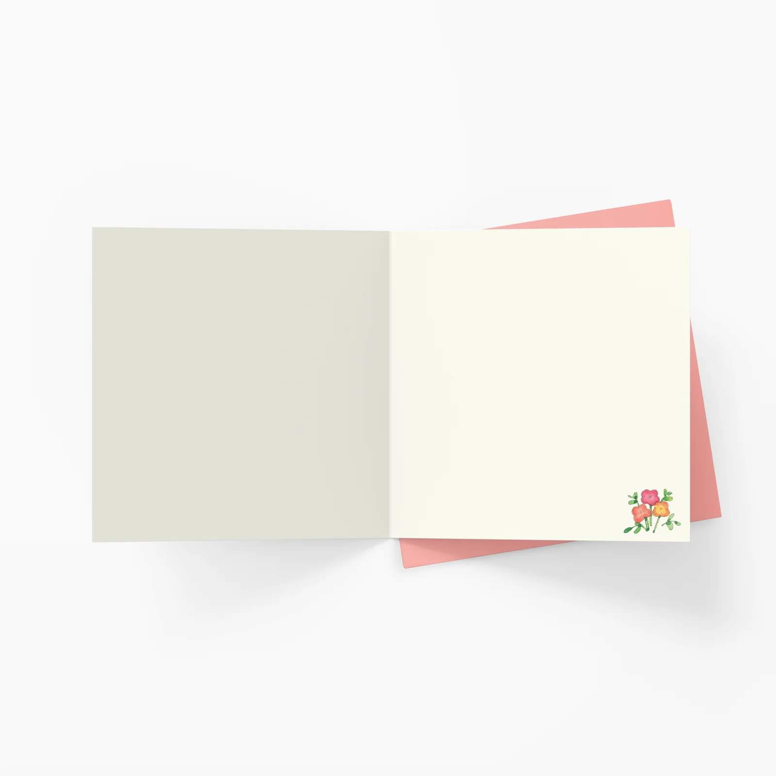 Twigseeds Birthday Card - You Spring Chicken - Image 2