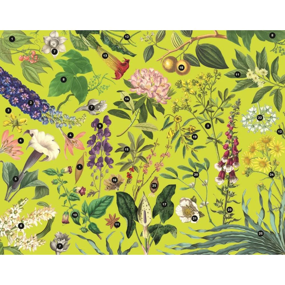 Kew 1000pc Jigsaw Puzzle - Poisonous Plants - Image 2