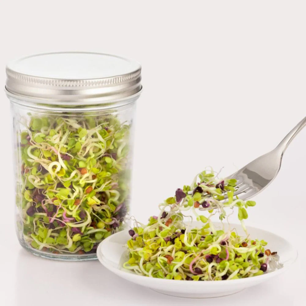 Kilner Sprouting Set 350ml - Image 6