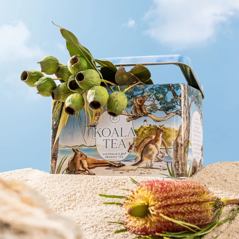 Koala Tea Gift Tin Beach - Organic Tea Bags Selection (25 pack) - Image 2