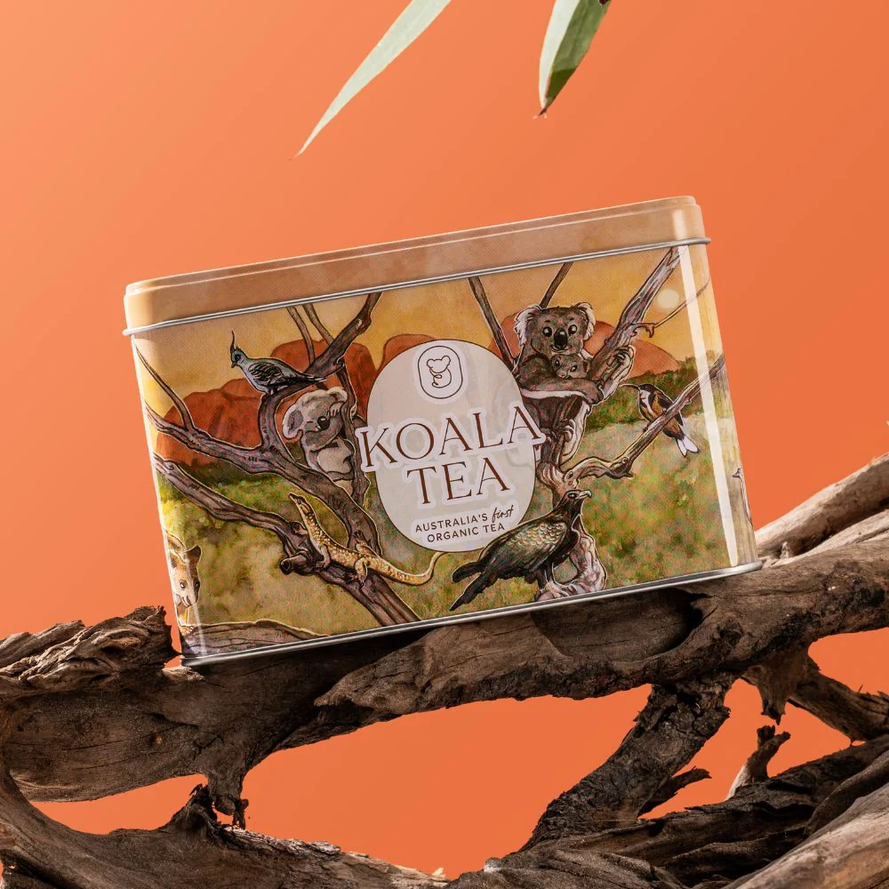 Koala Tea Gift Tin Desert -  Organic Tea Bags Selection (25 pack) - Image 2