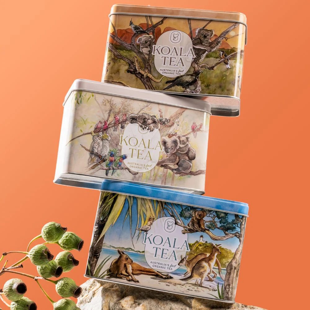 Koala Tea Gift Tin Forest - Organic Tea Bags Selection (25 pack) - Image 3