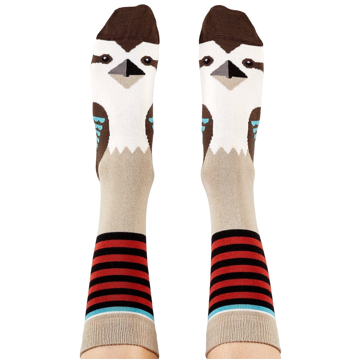 Wilson Payne Down Under Socks - Kookaburra