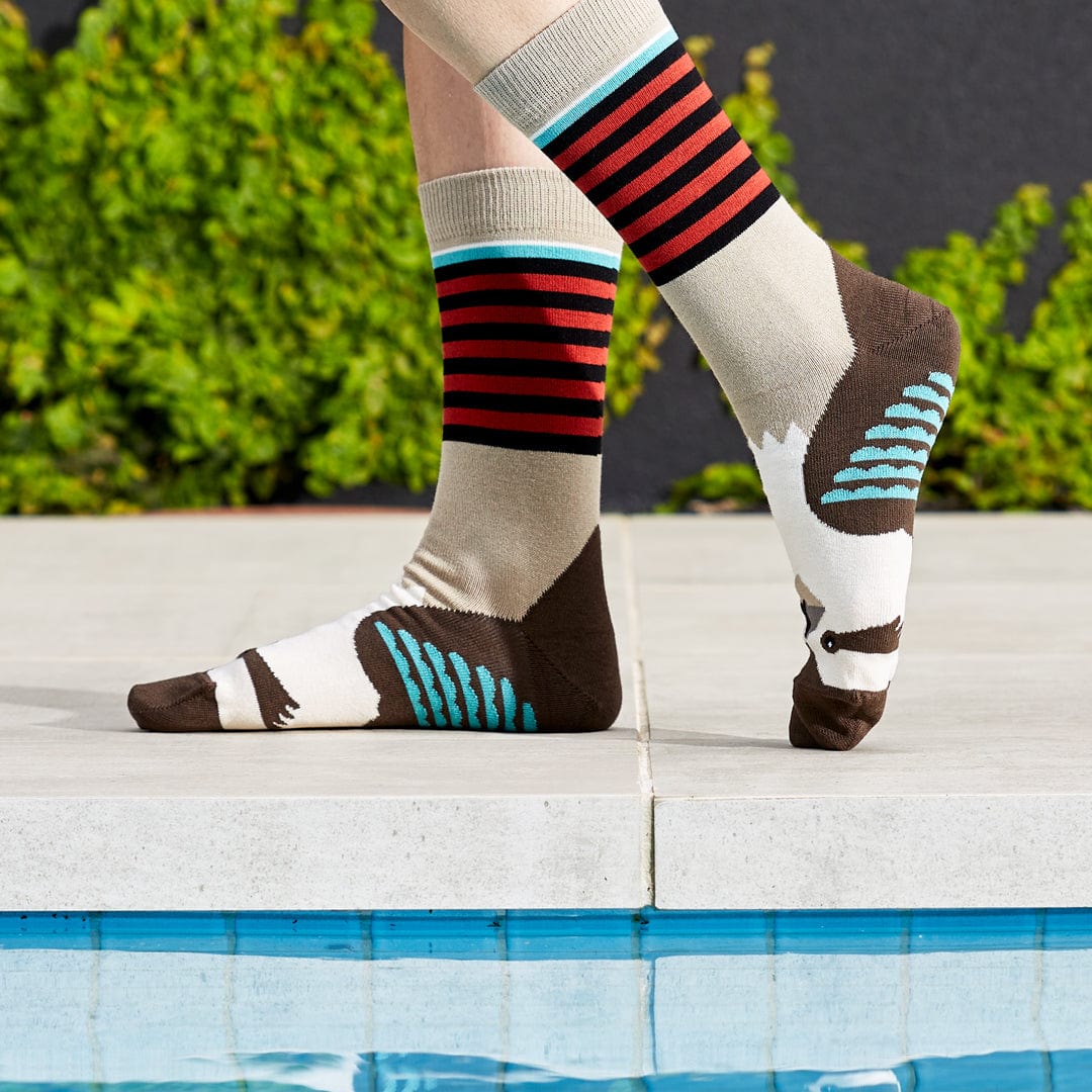 Wilson Payne Down Under Socks - Kookaburra - Image 3