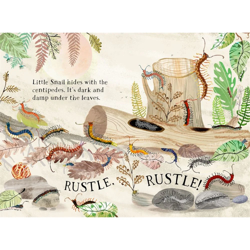 Little Snail's Book of Bugs - Image 2
