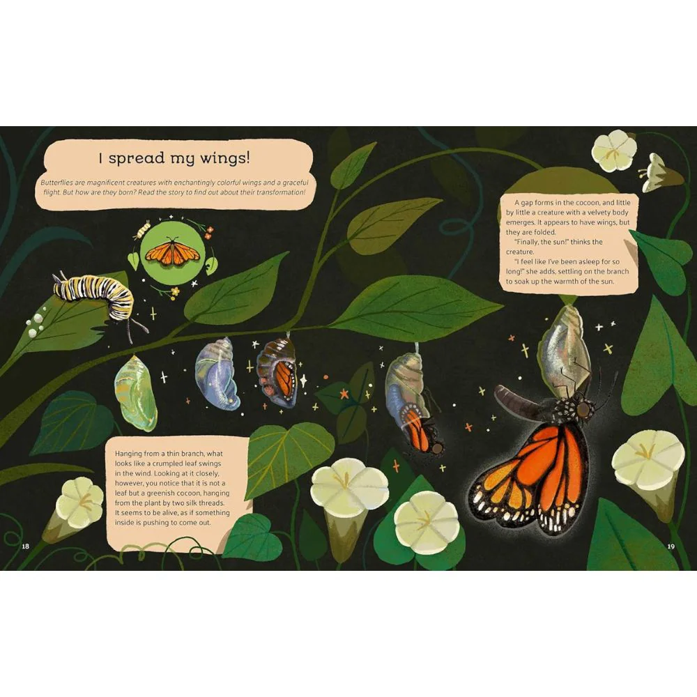 Little Stories from Nature - Image 3